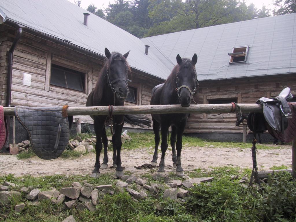 Osrodek Beskid Fizjo & Spa Корбелов Екстериор снимка