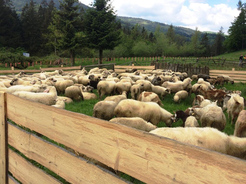 Osrodek Beskid Fizjo & Spa Корбелов Екстериор снимка